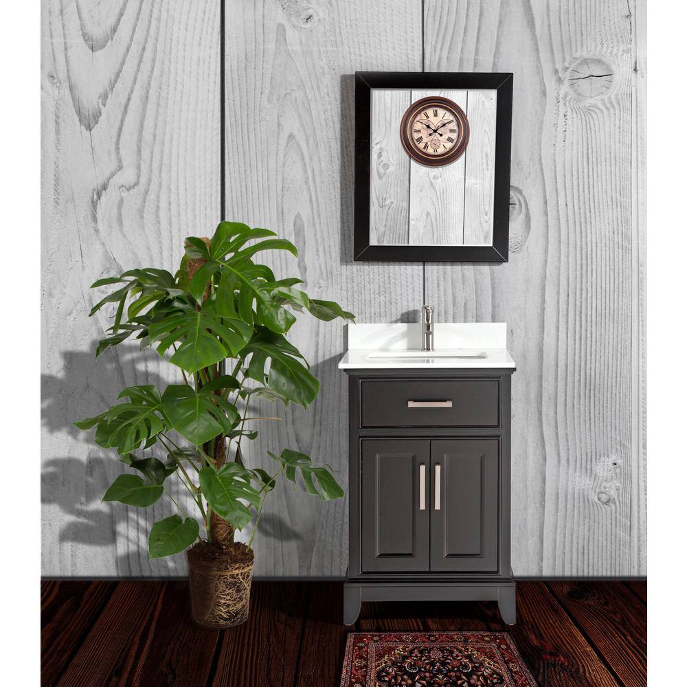 Vanity Art Genoa 24 in. W x 22 in. D x 36 in. H Bath Vanity in Espresso