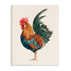 Morning Rooster Illustration Elegant Bird Feathers By Grace Popp Unframed Print Animal Wall Art 10 in. x 15 in.