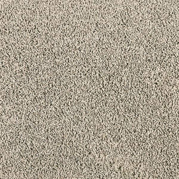 Whisk and Whimsy I-Cumulus-Gray 25 oz. Polyester Textured Installed Carpet