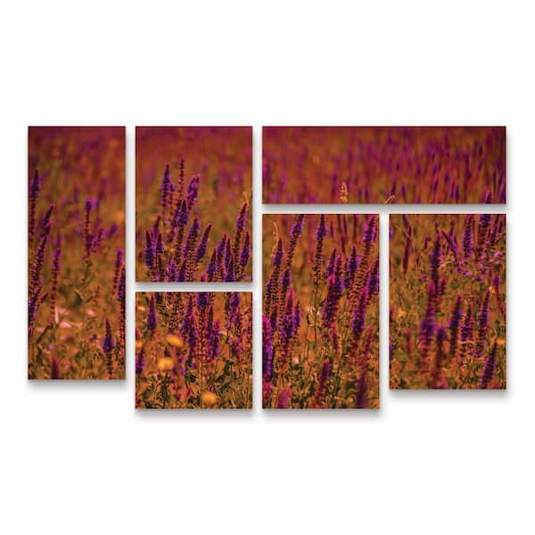 Trademark Fine Art Ali Heidari Violets 6-Piece Panel Set Unframed Photography Wall Art 28 in. x 47 in.