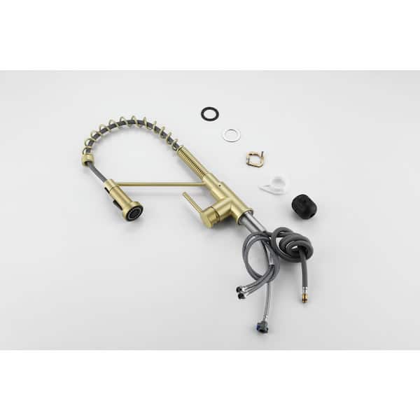Timeless Home Brushed Gold 18 in. Single Handle Pull Down Sprayer