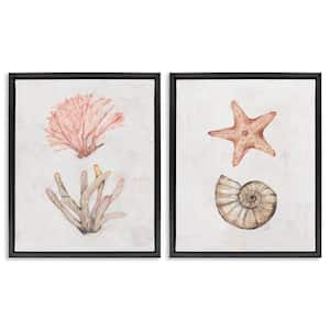 Neutral Pastel Sea Life by Filippo Ioco 2-Pieces Black Floater Frame Coastal Graphic Art Print 21 in. x 17 in.