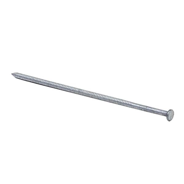 GripRite 7 x 41/2 in. 30Penny Galvanized Steel Ring Shank Pole Barn