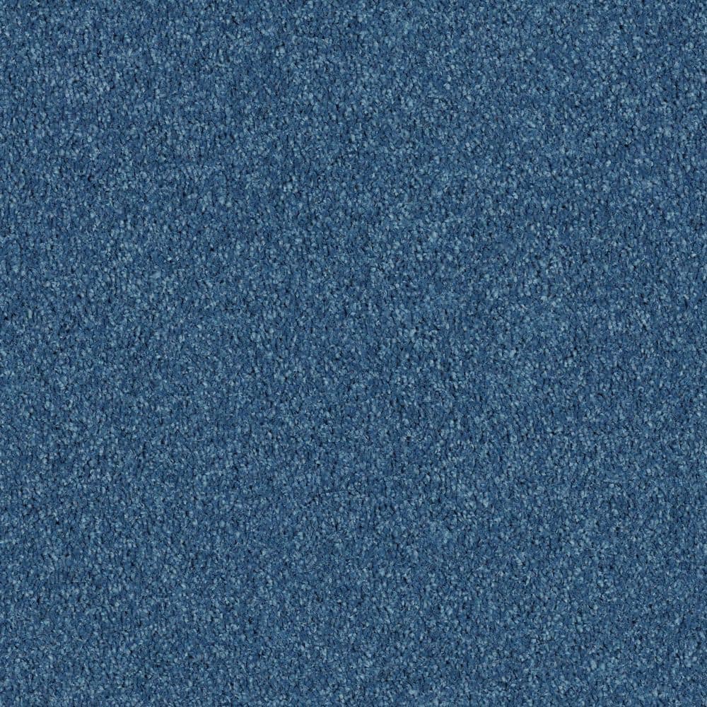8 in. x 8 in. Texture Carpet Sample - Cottage Comforts - Color Paradise price history on PriceWatchPro