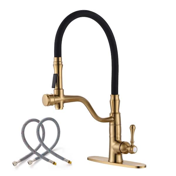 ALEASHA Single Handle Pull Down Sprayer Kitchen Faucet in Brushed Gold