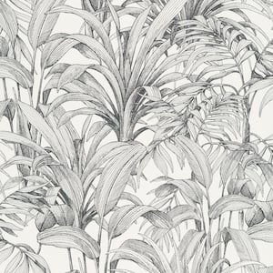 Aliare Palm Leaves White Textured Wallpaper (Cover 56 sq. ft.)
