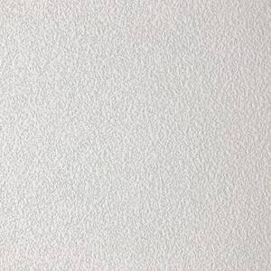White 2 ft. x 2 ft. Square Edge Fiberglass Ceiling Tile (Case of 12)
