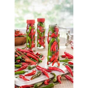 19 oz. Dragon Hot Cayenne Pepper Plant