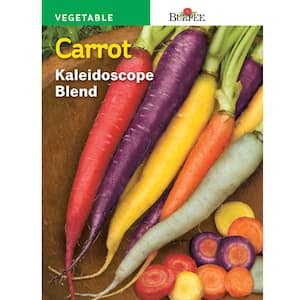 Kaleidoscope Mix Carrot Seed