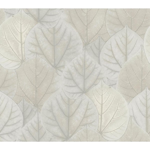 Candice Olson Leaf Concerto Grey Wallpaper