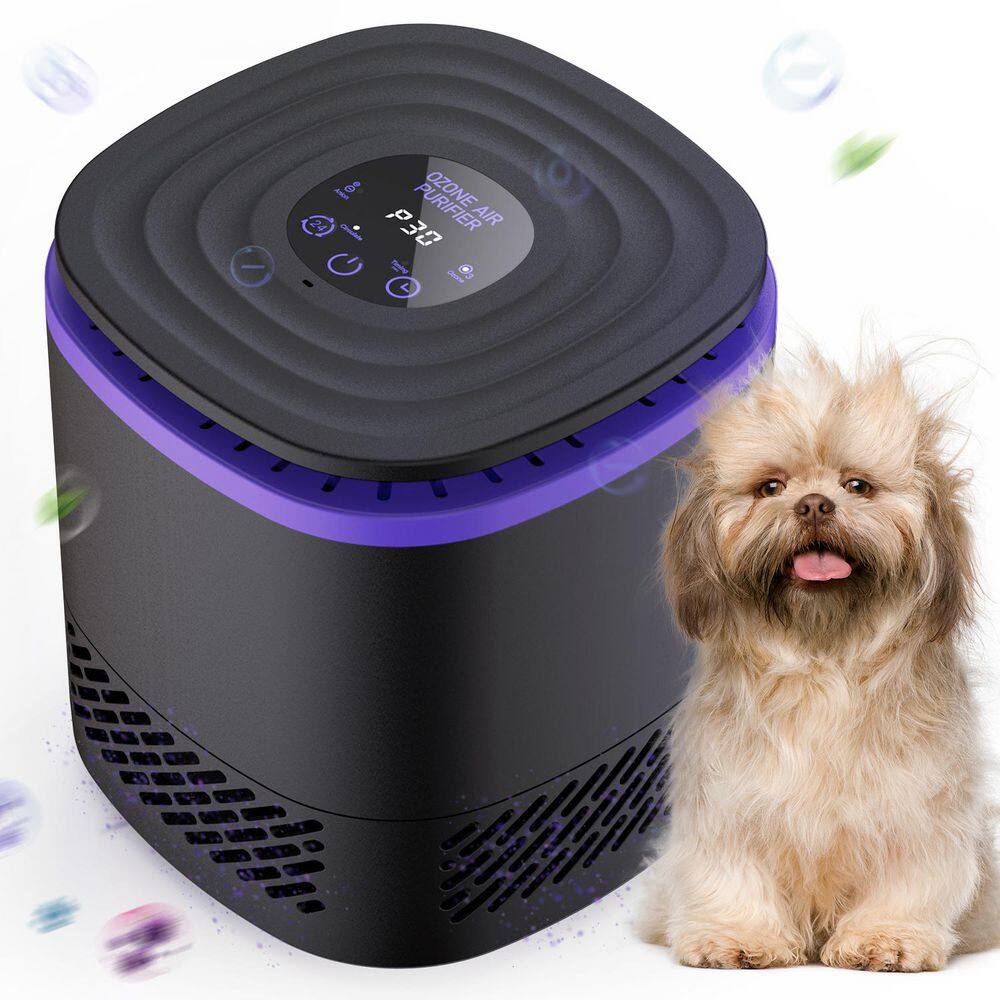 1076 sq. ft. 10000mg/h Ion Generator Ozone Generator Odor Removal in Black with Fan and Timer for Smoke, Car, Pet Room