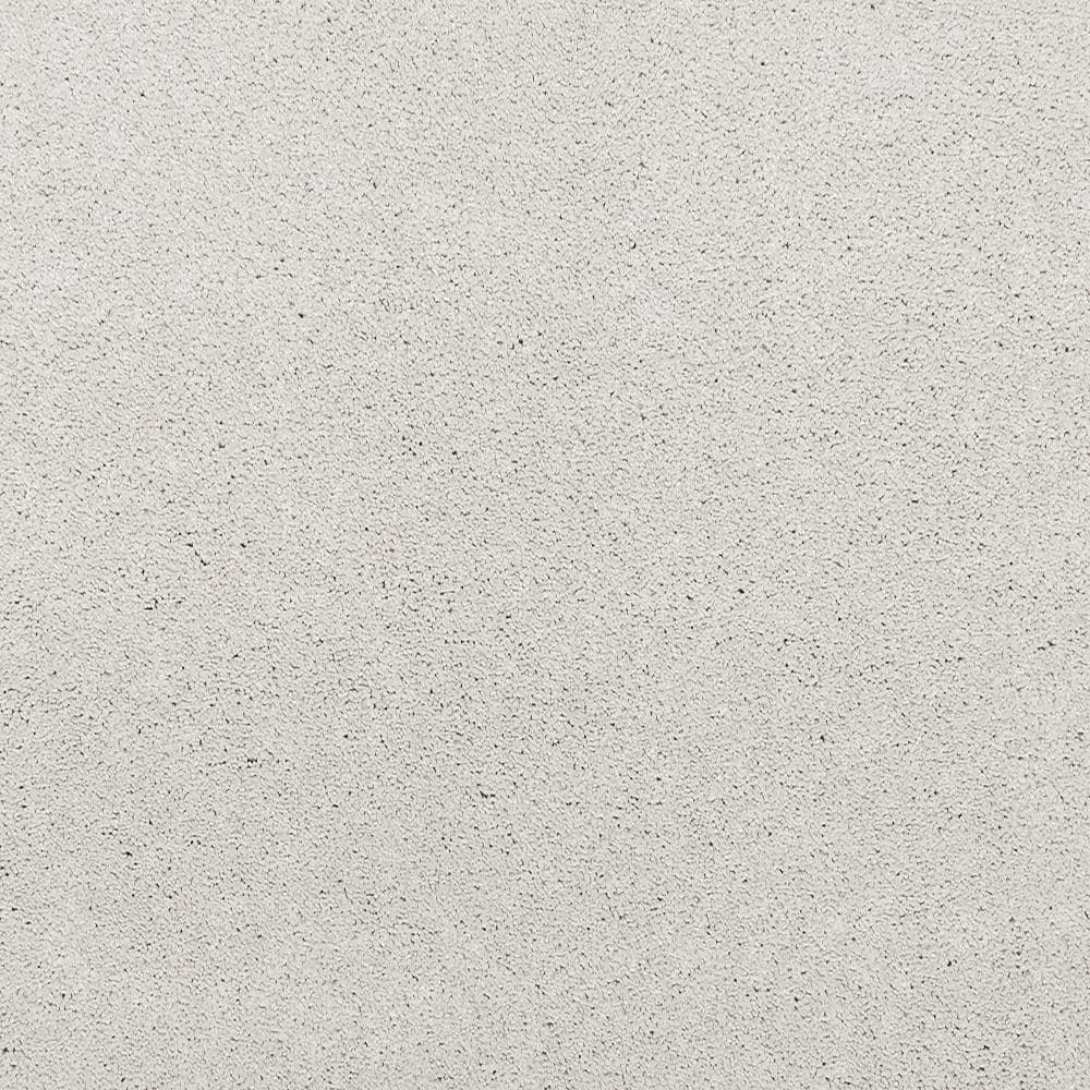 8 in. x 8 in. Texture Carpet Sample - Plush Dreams I -Color Delicate price history on PriceWatchPro