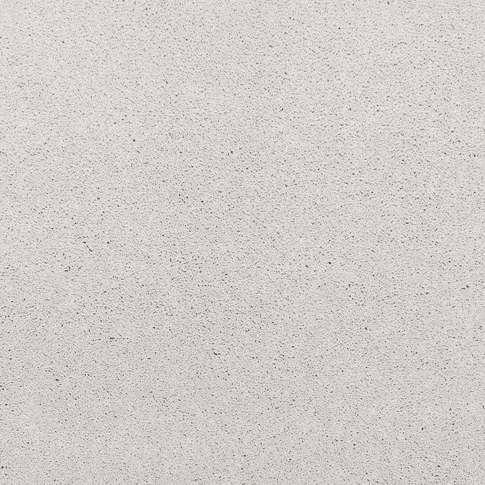 8 in. x 8 in. Texture Carpet Sample - Plush Dreams III -Color Delicate price history on PriceWatchPro