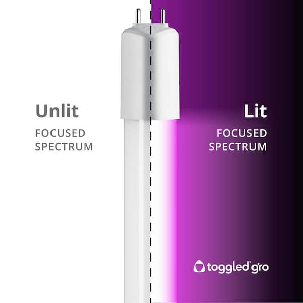 GF GROW LEDライト 4灯 本体　2台 Amazon.com: Feit Electric Grow Light 19W 2ft LED for Indoor