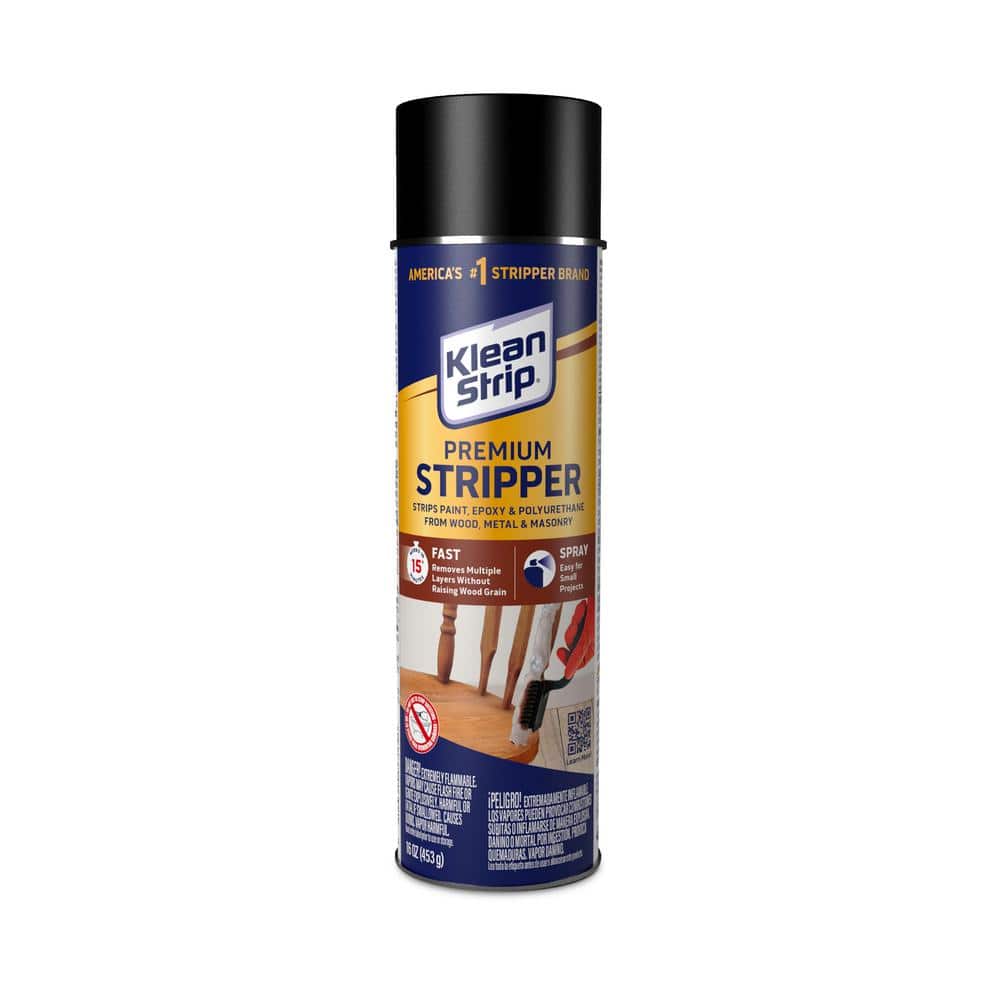 Klean-Strip Efficient Paint Brush Rescue: Cleans Wet and Dried  Latex/Oil-Based Paints, Removes Shellac