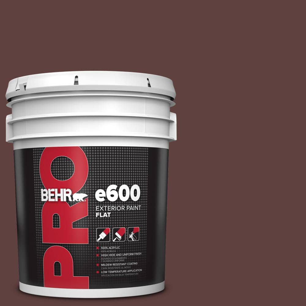 5 gal. #BXC-21 Chicory Root Flat Exterior Paint product image for price tracking
