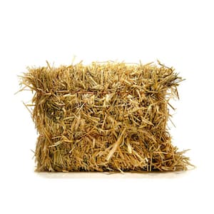 Mini Real Wheat Straw Bale for Autumn or Farm Decor (18 in. x 18 in. x 14 in.)