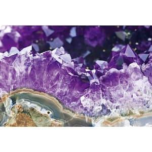 Scenic Amethyst Adventure and Fantasy Wall Mural
