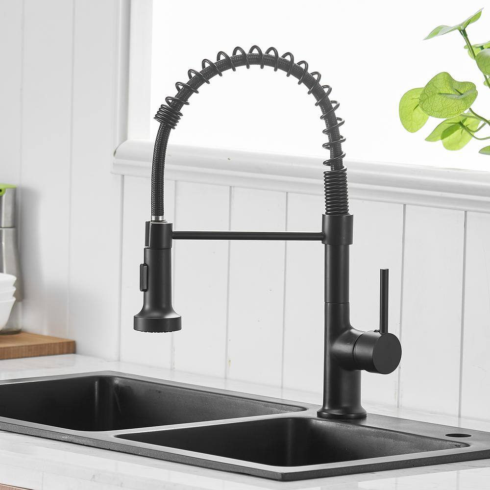 Matte Black Brass Single-Handle Pull-Down Kitchen Faucet