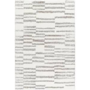 Cloudy Shag Gray Abstract 5 ft. x 7 ft. Indoor Area Rug