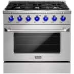 36 in. 5.2 cu. ft. Freestanding Gas Range with 6 Burners and Convection Oven in Stainless Steel with Blue Knobs