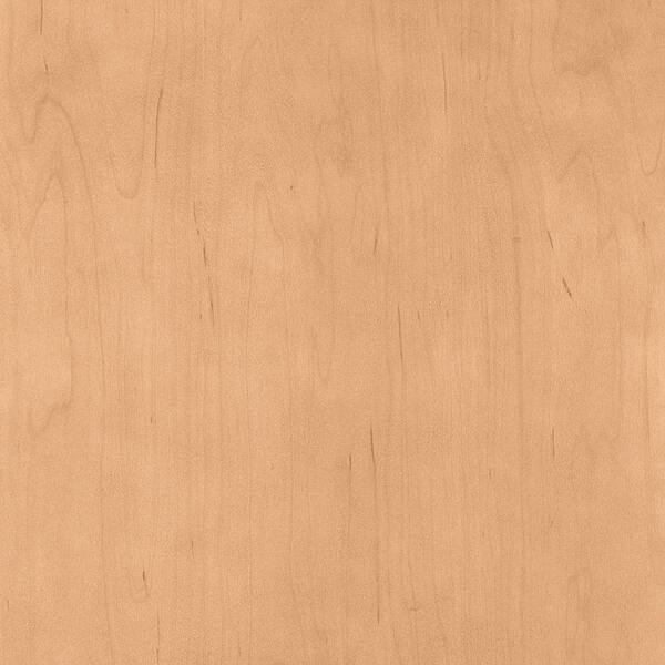 American Woodmark 14-9/16x14-1/2 in. Cabinet Door Sample in Hanover Maple Honey