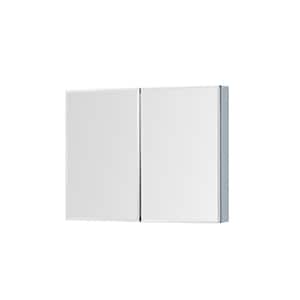 Galway 30 in. x 24 in. Recessed or Surface Mount Medicine Cabinet with Mirror