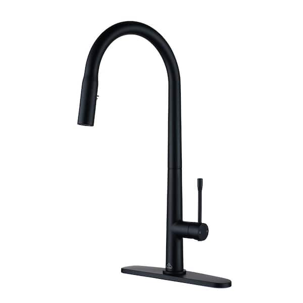 Casainc Single Handle Pull-down Sprayer Kitchen Faucet With Dual 