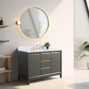 48 in. W x 22 in. D x 34 in. H Single Sink Bathroom Vanity in Vintage Green with Engineered Marble Top