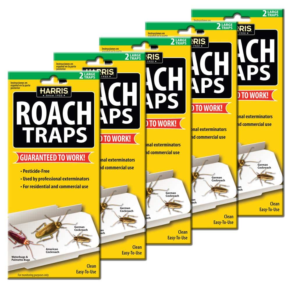Roach Killer Indoor Infestation - 21 Roach Bait Traps | Effective German  Roach Killer for Home Infestation - Child and Pet Safe Roach Traps Indoor