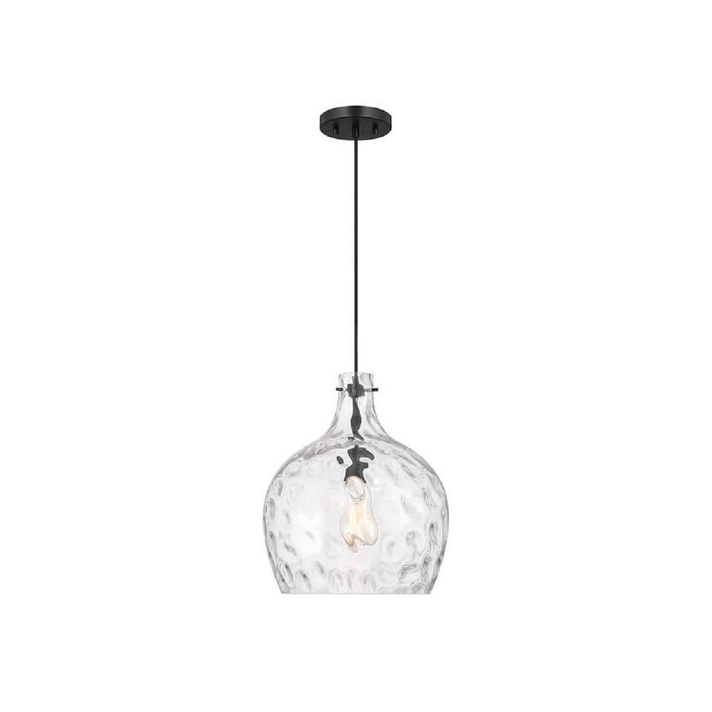 Meridian 12.75 in. W x 15 in. H 1-Light Matte Black Coastal Pendant Light with Hammered Glass Shade, No Bulb Included price history on PriceWatchPro