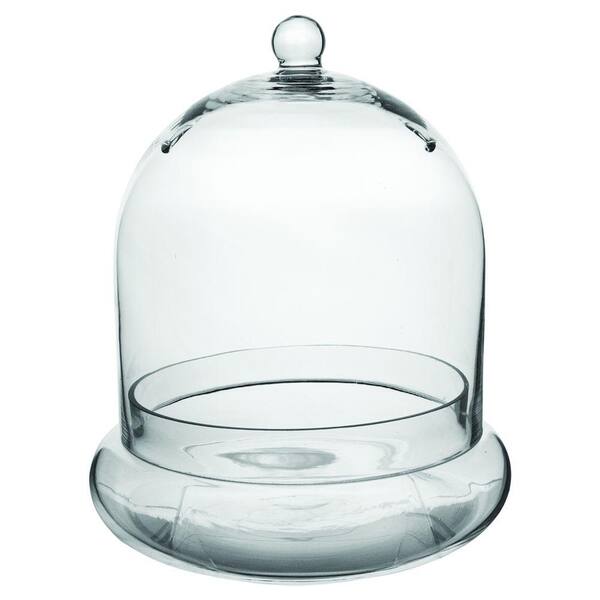 Syndicate Home Garden 10 in. x 11-3/8 in. Cloche Terrarium Glass