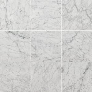Carrara White 12 in. x 24 in. Honed Marble Floor and Wall Tile (12 sq. ft./Case)