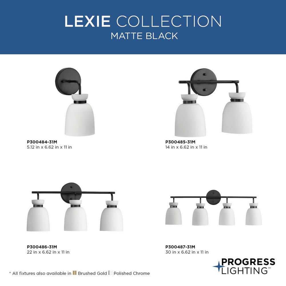 Lexie Matte Black Steel Vanity Light with Opal Glass Shade