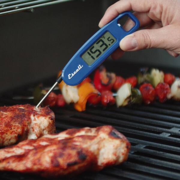https://images.thdstatic.com/productImages/bc2f9c37-1a9a-408a-9aa7-34ade4cd8f06/svn/escali-cooking-thermometers-dh6-u-c3_600.jpg
