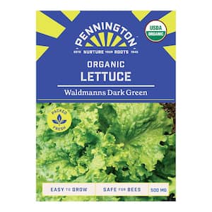 Organic Waldmann's Dark Green Lettuce Vegetable Seeds
