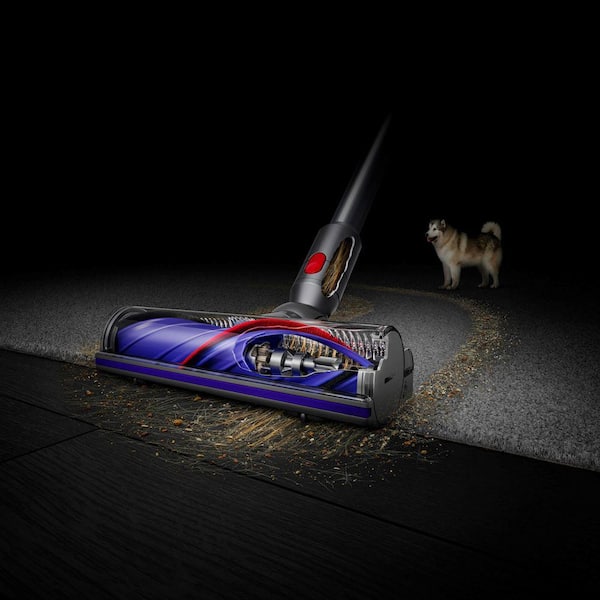 Batterie d'aspirateur aste pour Dyson, Absolute Fluffy Animal Pro