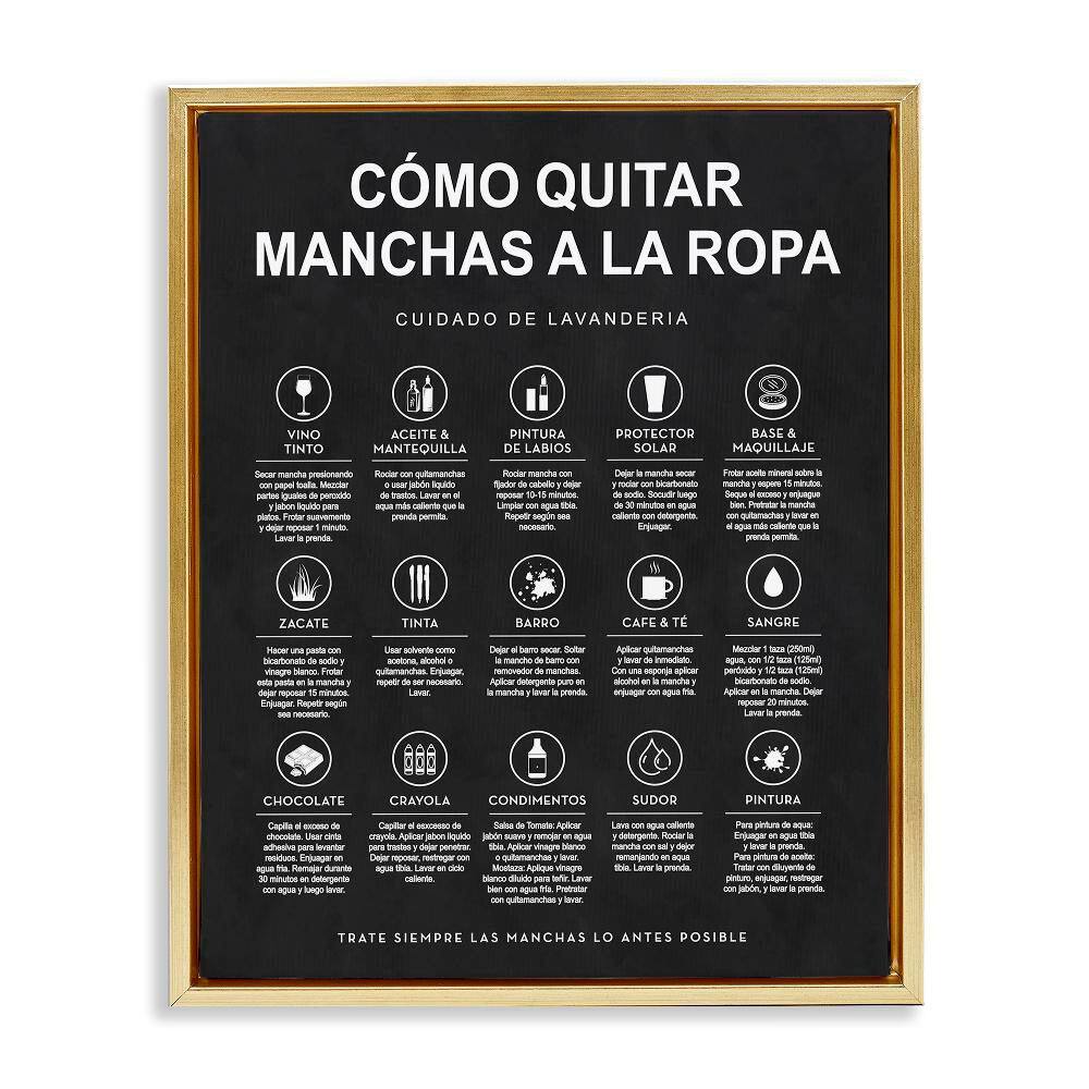 Lavanderia Stain Guide Black by Lettered and Lined Gold Floater Frame Typography Graphic Art Print 21 in. x 17 in. price history on PriceWatchPro