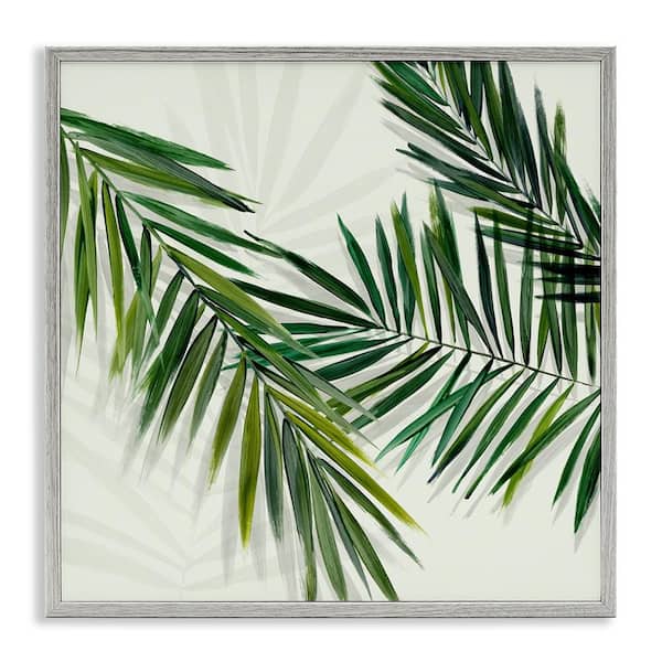 Stupell Industries Tropical Palms with Shadows by Hannah Dawson Gray Framed Nature Giclee Art Print 12 in. x 12 in.