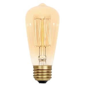 40-Watt ST15 Timeless Vintage Inspired Incandescent Light Bulb
