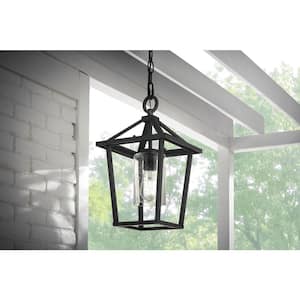 Jill 1-Light 9.5 in. Textured Black Weathered Zinc Outdoor Pendant Light with Clear Seedy Glass