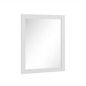 Galsaky 28 in. W x 32 in. H Rectangular Framed Surface-Mount Bathroom Vanity Mirror in Matte White