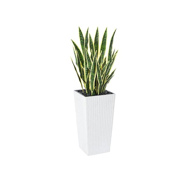 DR.Planzen 4 ft.UV Resistant Artificial Yellow Snake Plant with Tall White Planter for Indoor Outdoor Home Decor