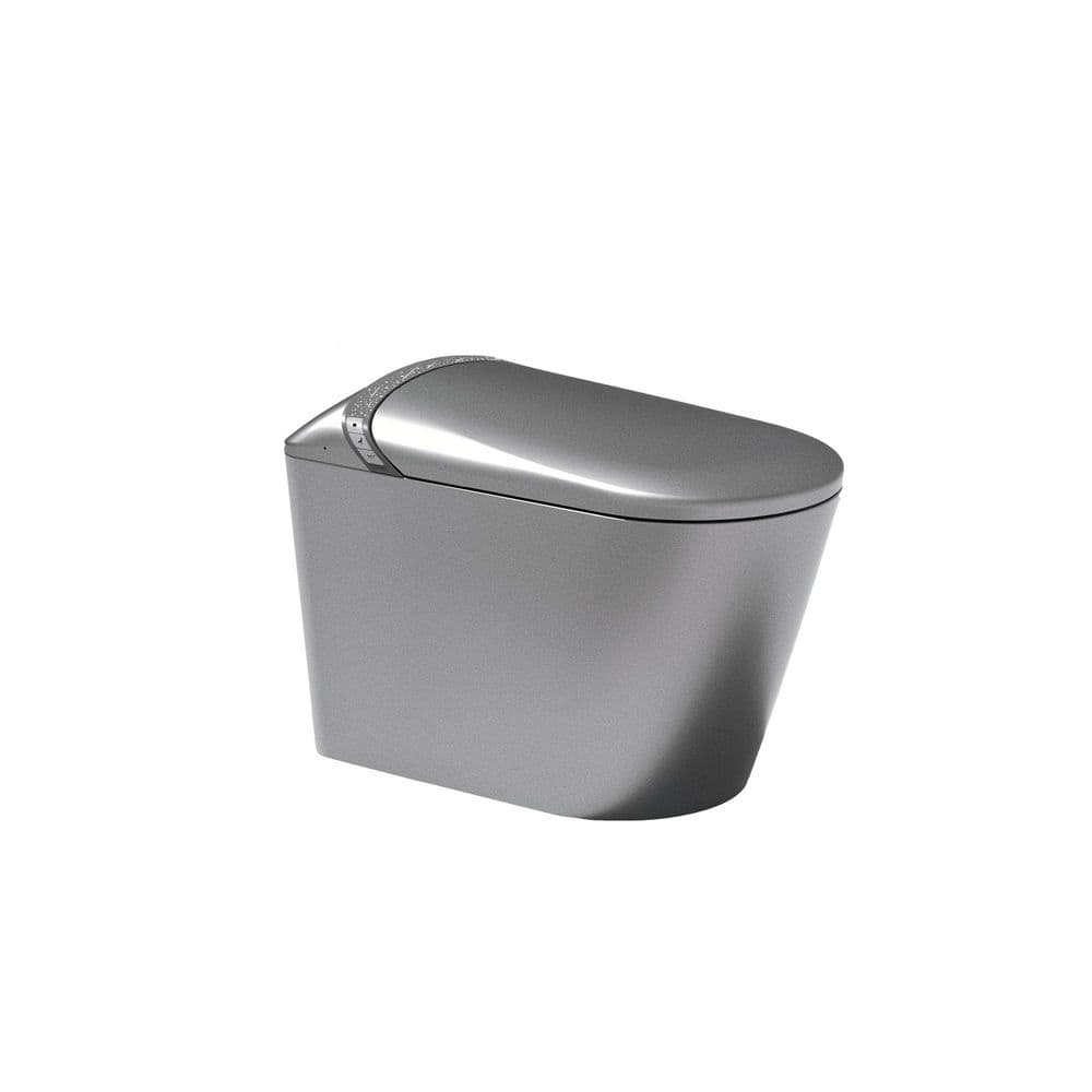Elongated Bidet Toilet 1.28 GPF in Matte Grey with Auto Open/Close Seat, Foot Kick, LED Display, Night Light price history on PriceWatchPro