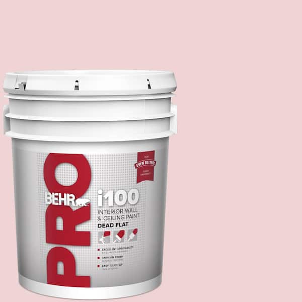 BEHR PRO 5 gal. #S140-1 Radiant Rose Dead Flat Interior Paint