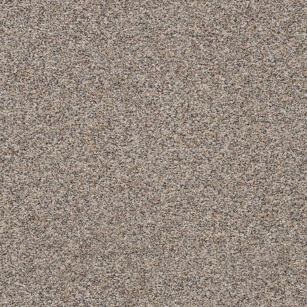 Lifeproof 8 in. x 8 in. Texture Carpet Sample-Modern Mosaic I-Color Biggs
