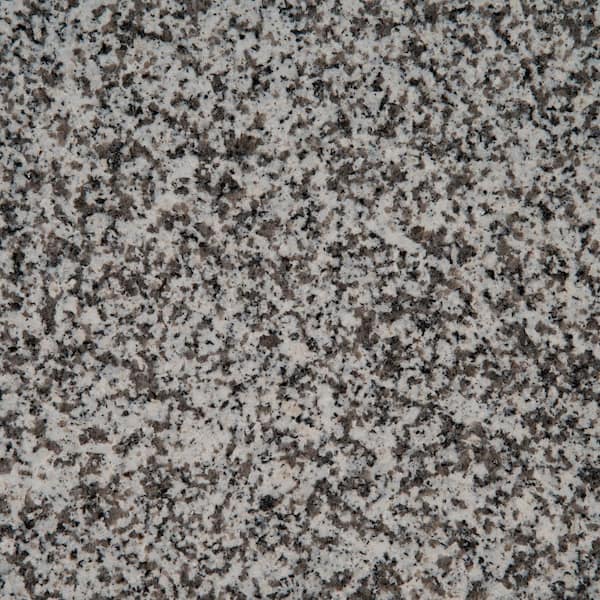STONEMARK 3 in. x 3 in. Granite Countertop Sample in White Sparkle