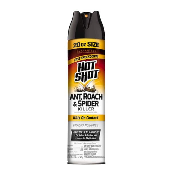 Hot Shot 20 oz. Ant Roach and Spider Insect Killer Aerosol