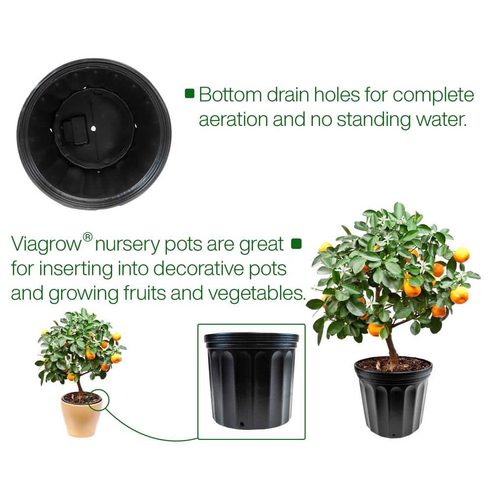 Black 2-Gallon Plastic Nursery Pots with Drainage Holes, Set of 10