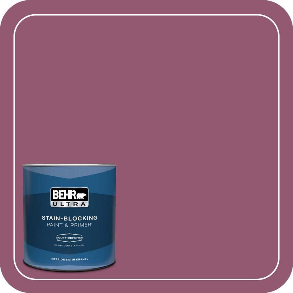 1 qt. Home Decorators Collection #HDC-AC-28A Carnation Festival Extra Durable Satin Enamel Interior Paint & Primer price history on PriceWatchPro